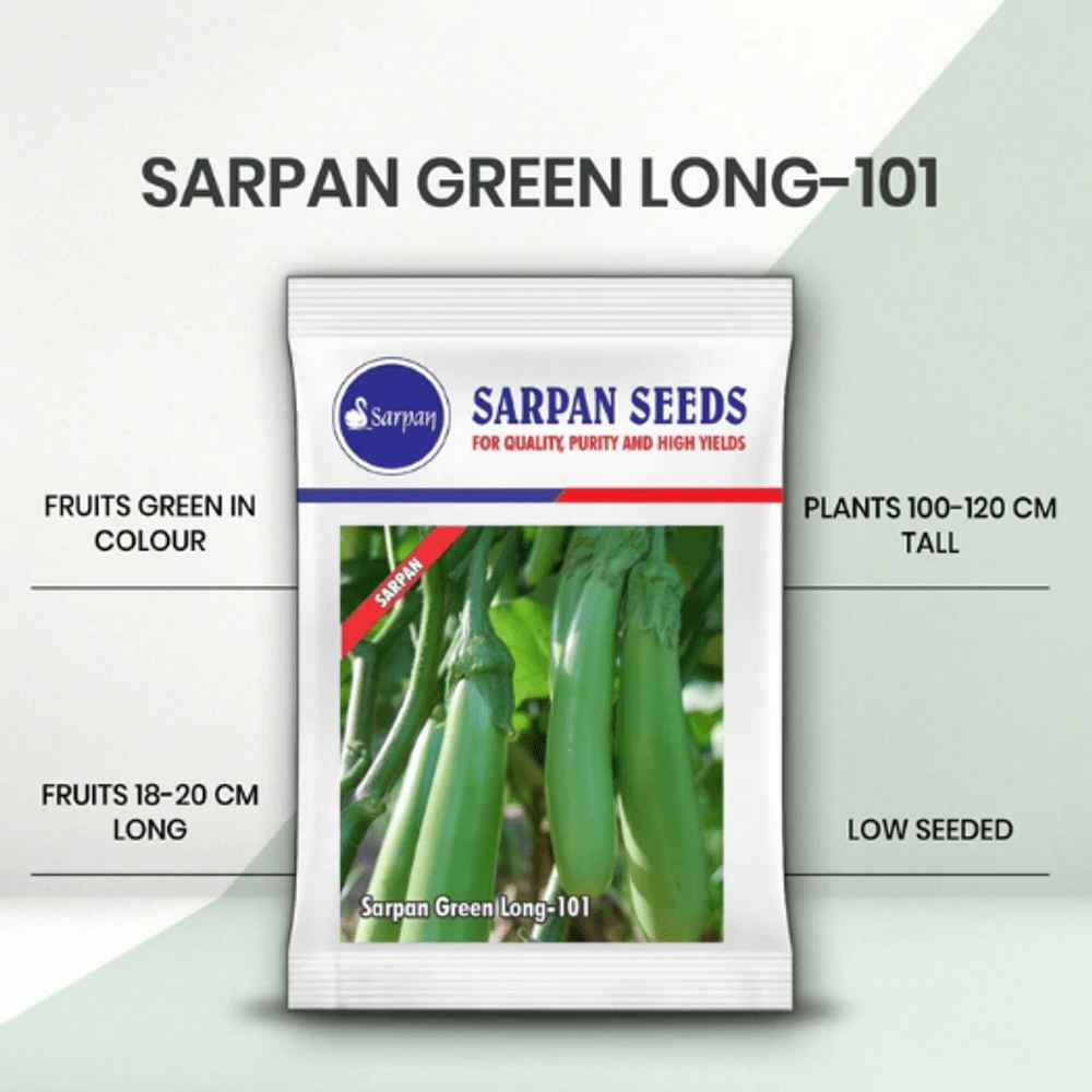 Sarpan Green Long-101 Brinjal Seeds - BharatAgri Krushidukan_1