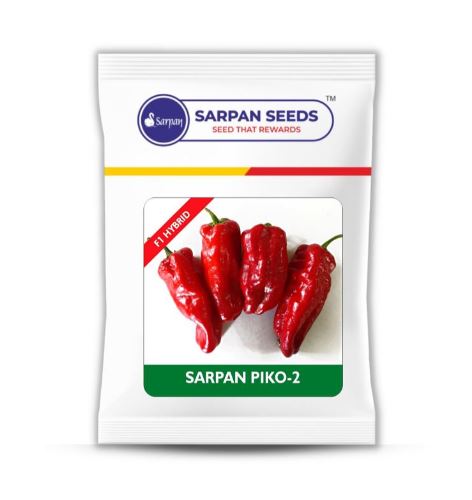 Sarpan F1 Hybrid Chilli Piko 2 Seeds - BharatAgri Krushidukan_1