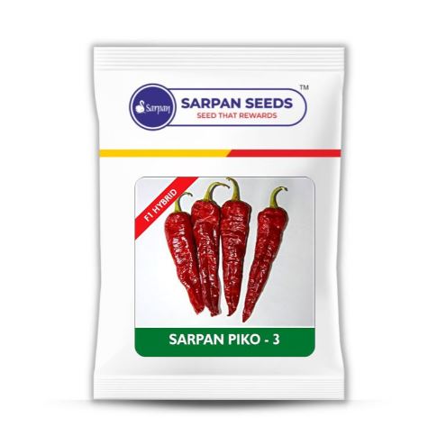 Sarpan F1 Hybrid Chilli Piko 3 Seeds - BharatAgri Krushidukan_1