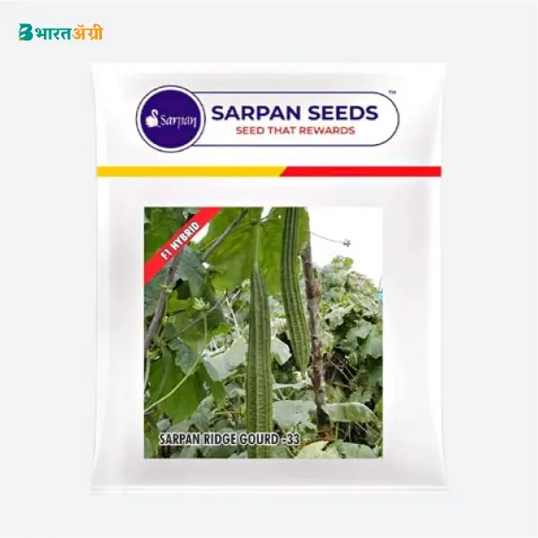 Sarpan Ridge Gourd-33 F1 Hybrid Seeds - BharatAgri Krushidukan_1