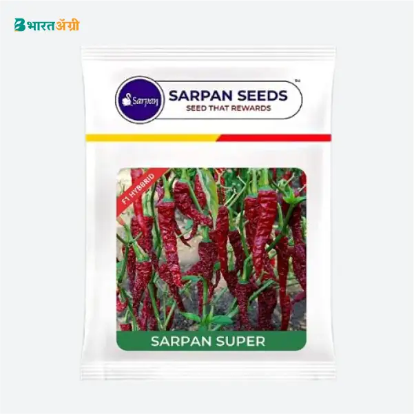 Sarpan Super Hybrid Red Chilli Seeds - BharatAgri Krushidukan_1