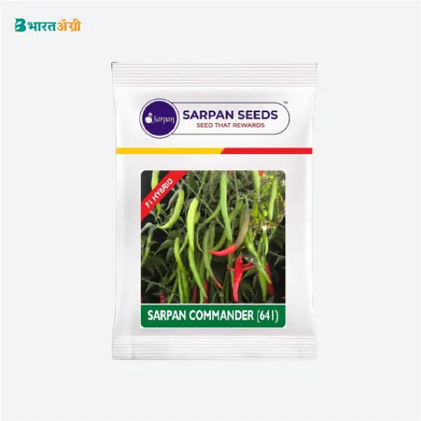 Sarpan Commander 641 Chilli Seeds - BharatAgri Krushidukan