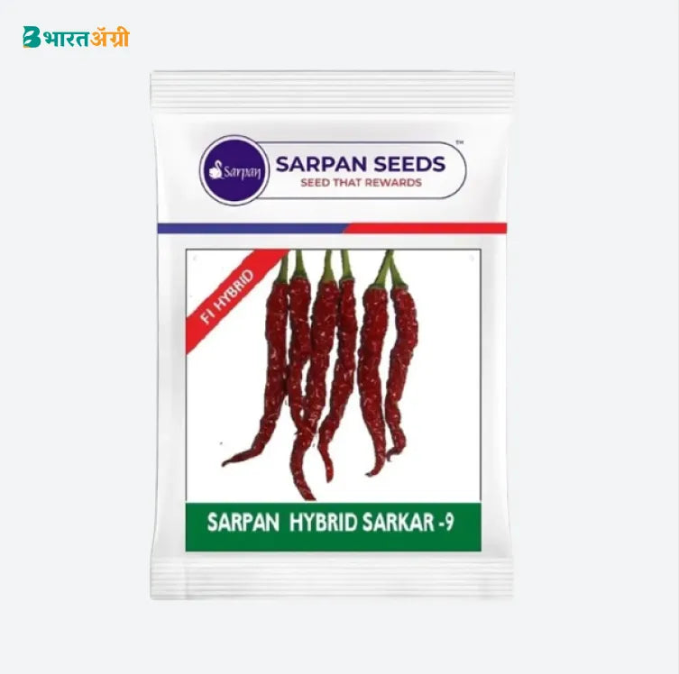 Sarpan Sarkar 9 Seeds (Chilli) - BharatAgri Krushidukan