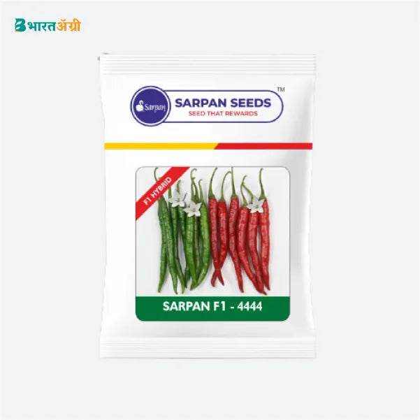 Sarpan 4444 Chilli Seeds - BharatAgri Krushidukan