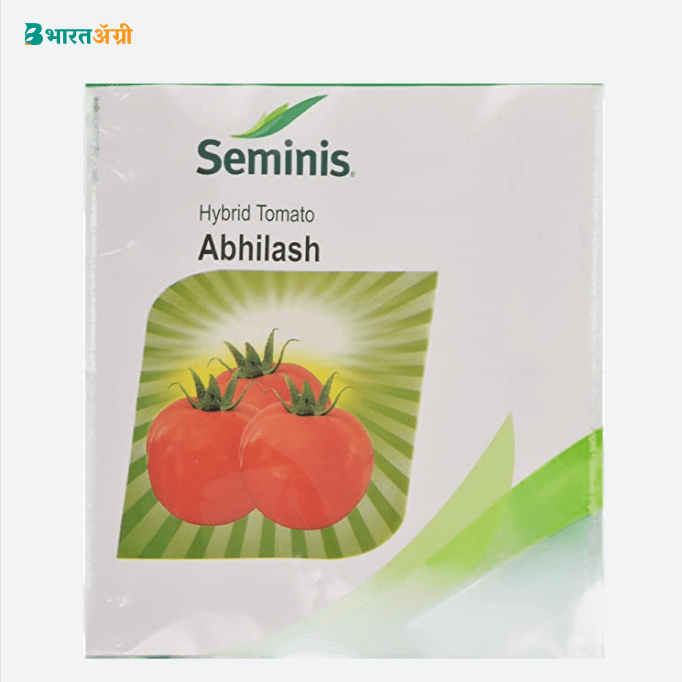 Seminis Hybrid Abhilash Tomato Seeds. Attractive Red Colour2