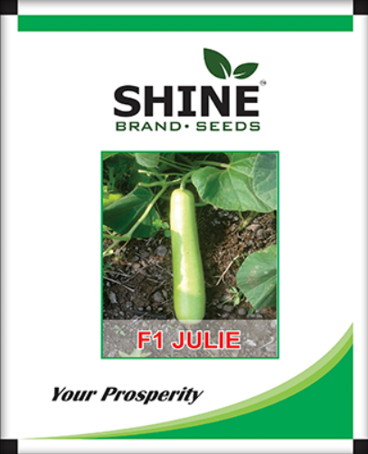 Bottle Gourd Julie F1 - Shine Brand Seeds. - BharatAgri Krushidukan_1