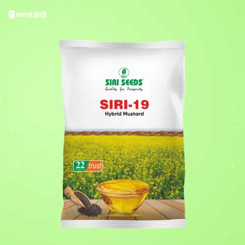 Siri 19 Mustard Seeds | BharatAgri Krushidukan