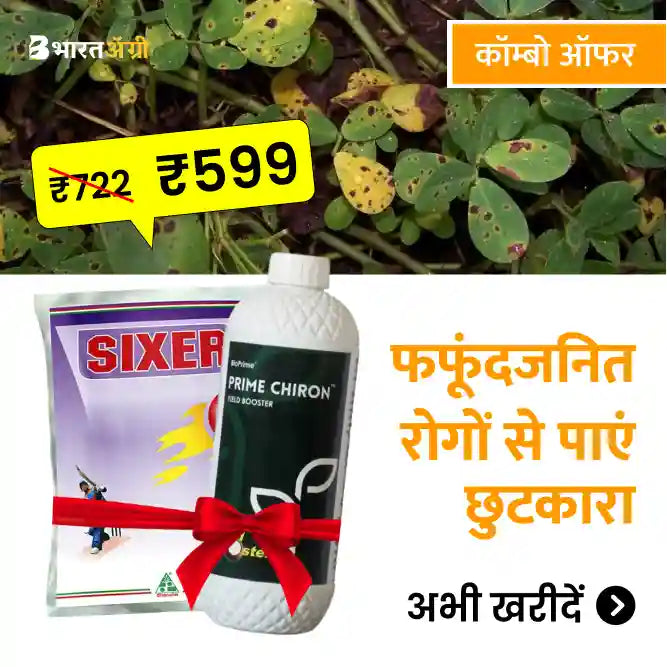Dhanuka Sixer (500 gm) + Bioprime Prime Chiron (100 ml)2