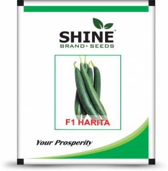 Sponge Gourd F1 HARITA Hybrid - Shine Brand Seeds - Krushidukan_1