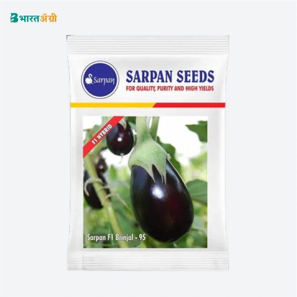 Sarpan Brinjal-95, F1 Hybrid Brinjal Seeds - BharatAgri Krushidukan_2