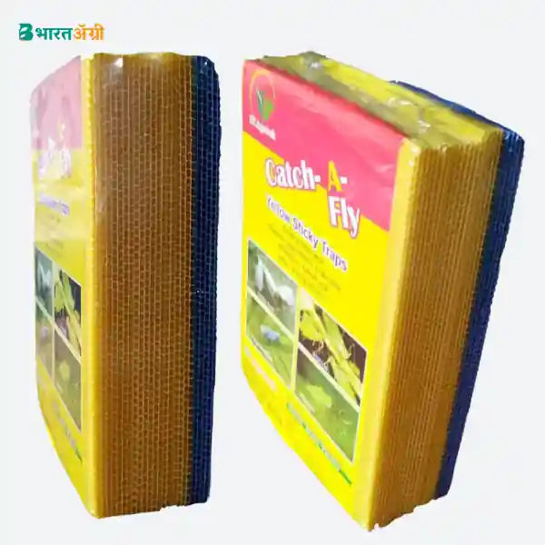 Buy Chipku Chipku Fly Trap for Home Glue Trap for House Fly , Sticky Fly  Stick Paper Traps & Lures online - Badikheti