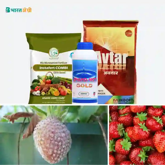 Strawberry Suraksha Kit - Powdery Mildew (10-100 days) - Krushidukan_1