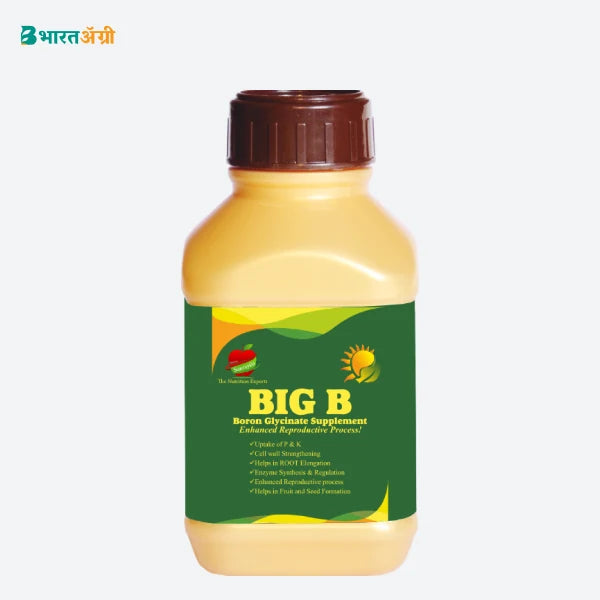 Sunraysia Big B (Boron 5%) Micronutrient_1 - BharatAgri KrushiDukan
