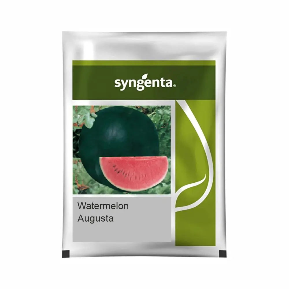 Syngenta Augusta Hybrid Watermelon Seeds (BharatAgri KrushiDukan)