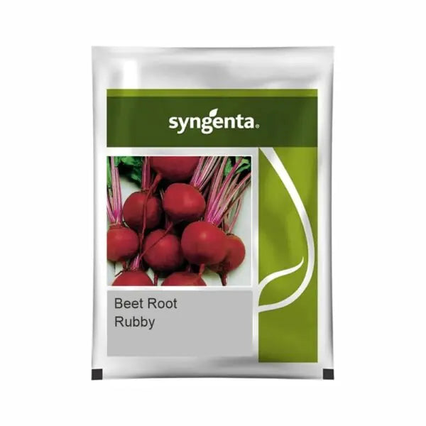 Syngenta Ruddy Beetroot Seeds (BharatAgri KrushiDukan)