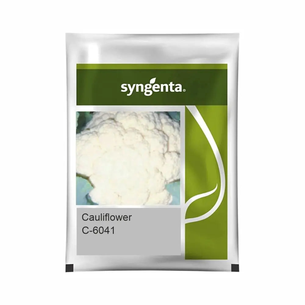 Syngenta C-6041 Cauliflower Seeds (BharatAgri KrushiDukan)