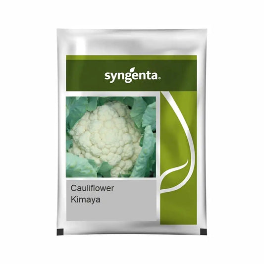 Syngenta Kimaya Cauliflower Seeds (BharatAgri KrushiDukan)