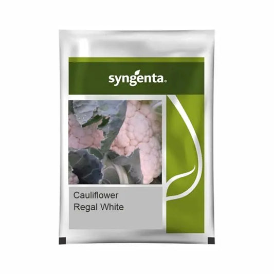 Syngenta Regal White Cauliflower Seeds (BharatAgri KrushiDukan)