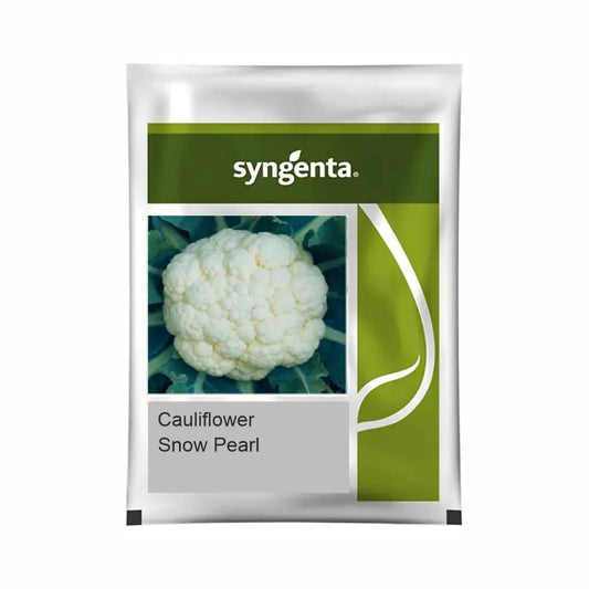 Syngenta Snow Pearl (C-7008) Cauliflower Seeds (BharatAgri KrushiDukan)
