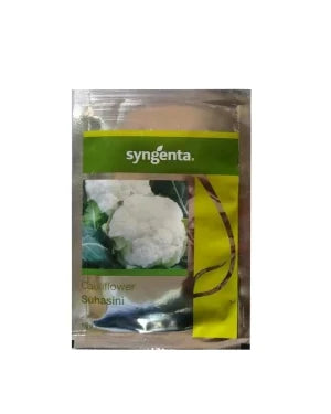 Syngenta Suhasini Cauliflower Seeds (BharatAgri KrushiDukan)