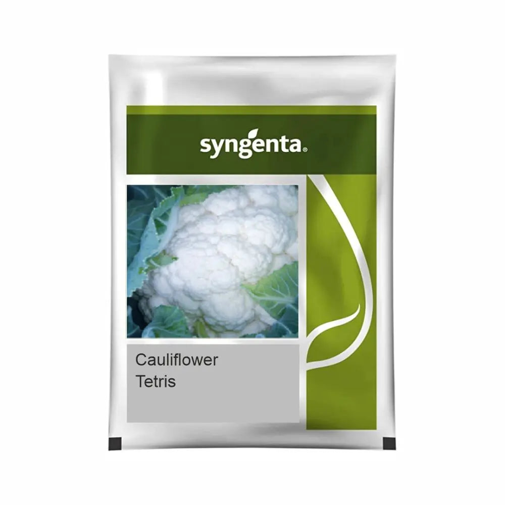 Syngenta Tetris Cauliflower Seeds (BharatAgri KrushiDukan)