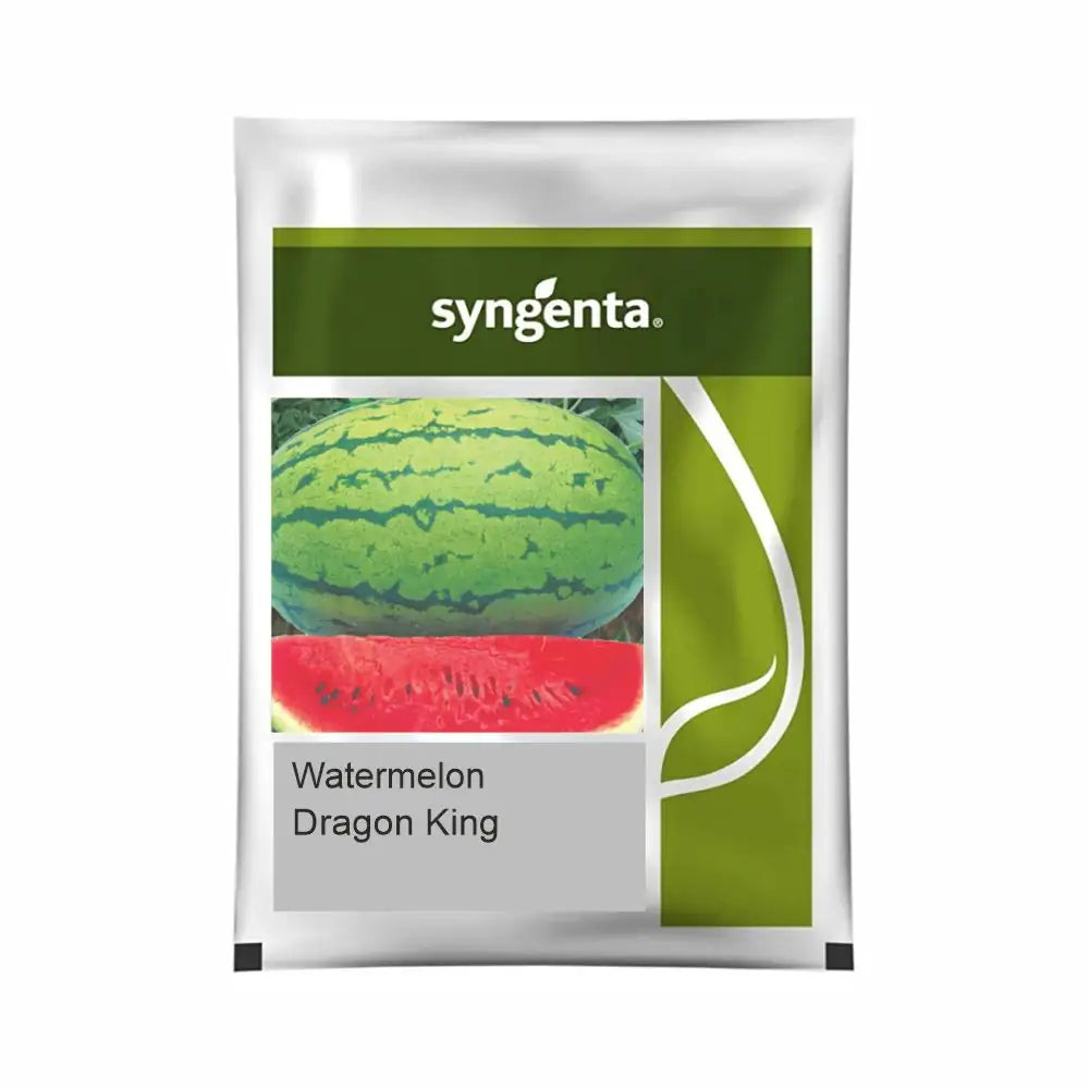 Syngenta Dragon King Watermelon Seeds (BharatAgri KrushiDukan)