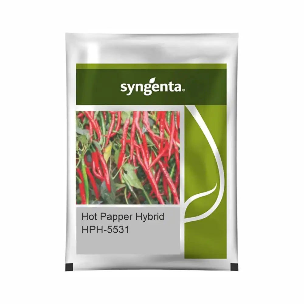 Syngenta Hot Pepper HPH-5531 Chilli Seeds (BharatAgri KrushiDukan)