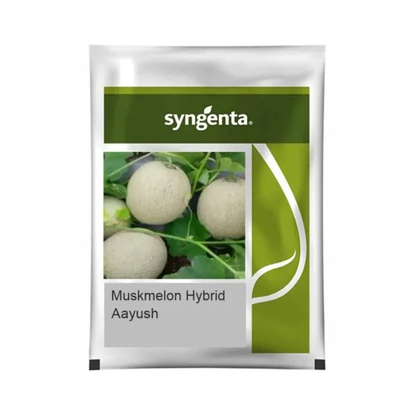 Syngenta Aayush Muskmelon Seeds (BharatAgri KrushiDukan)