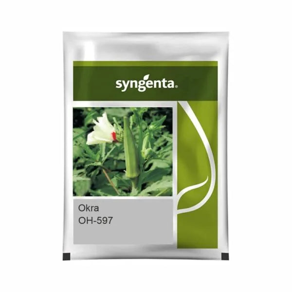 Syngenta OH-597 Okra Seeds (BharatAgri KrushiDukan)