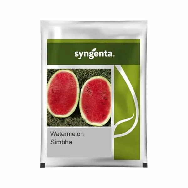 Syngenta Simbha Watermelon Seeds (BharatAgri KrushiDukan)