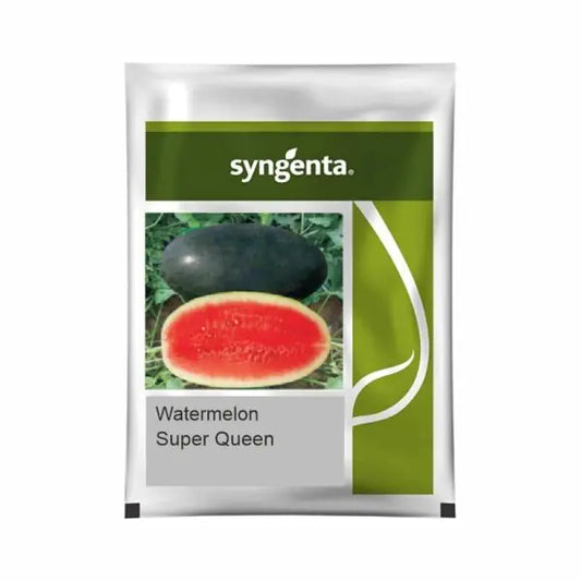 Syngenta Sugar Queen Watermelon Seeds (BharatAgri KrushiDukan)