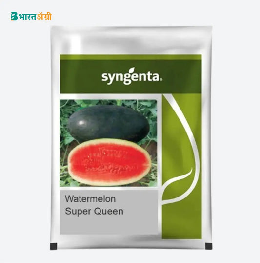 Syngenta Super Queen Watermelon Seeds | BharatAgri