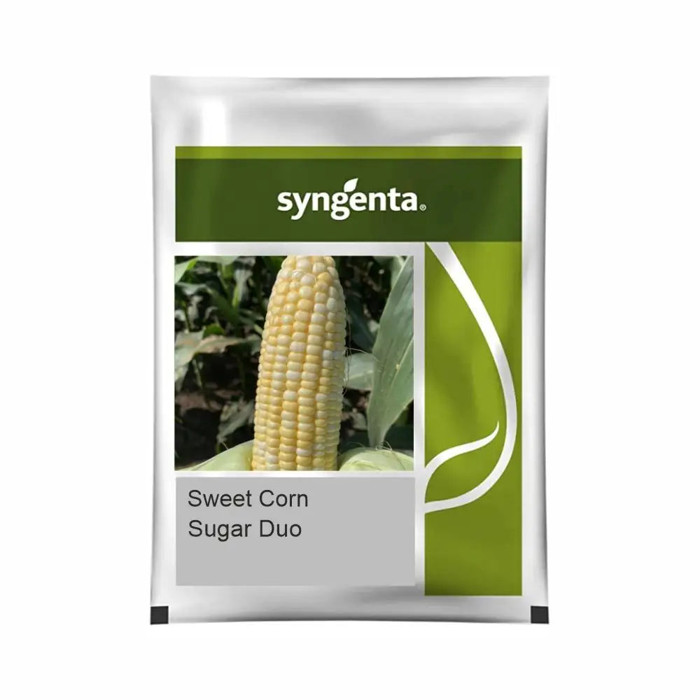 Syngenta Sugar Duo Sweet Corn Seeds (BharatAgri KrushiDukan)