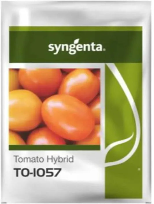 Syngenta To-1057 F1 Hybrid Tomato Seeds (BharatAgri KrushiDukan)