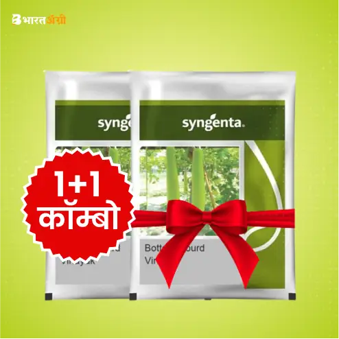 syngenta-vinayak-bottle-guard-seeds-1-1-combo | BharatAgri