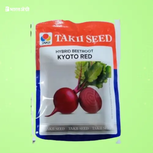 Takii Kyoto F1 Hybrid Beetroot Seeds | BharatAgri Krushidukan