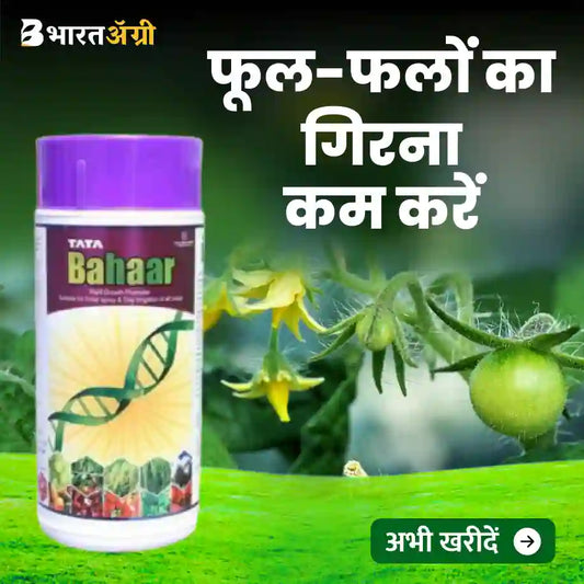 Tata Bahaar - Plant Growth Promoter_BharatAgriKruhsidukan
