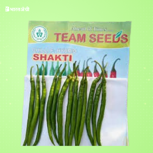 Team Seed Shakti F1 Hybrid Chilli Seeds | BharatAgri Krushidukan