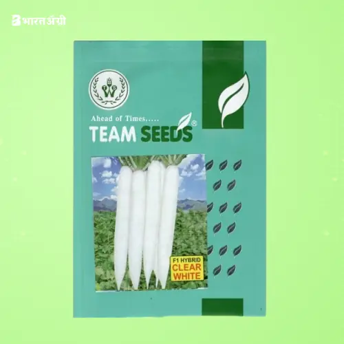 Team Seeds F1 Hybrid Clear White Radish Seeds | BharatAgri Krushidukan