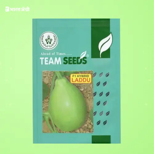 Team Seeds Laddu F1 Hybrid Bottle Gourd Seeds | BharatAgri Krushidukan