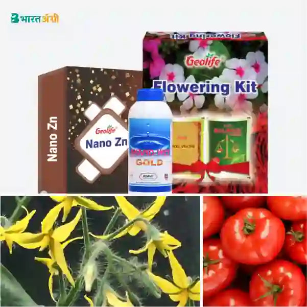 Tomato Badhat Kit - Flowering (40-60 days) - BharatAgri Krushidukan_1
