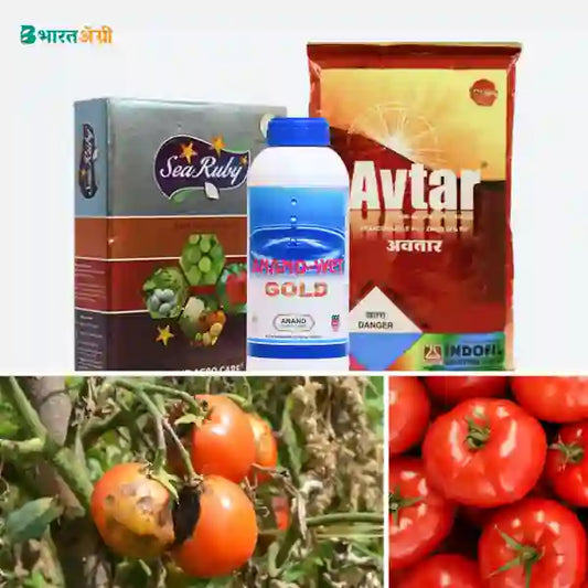 Tomato Suraksha Kit - Early Blight (0-50 days) - Krushidukan_1