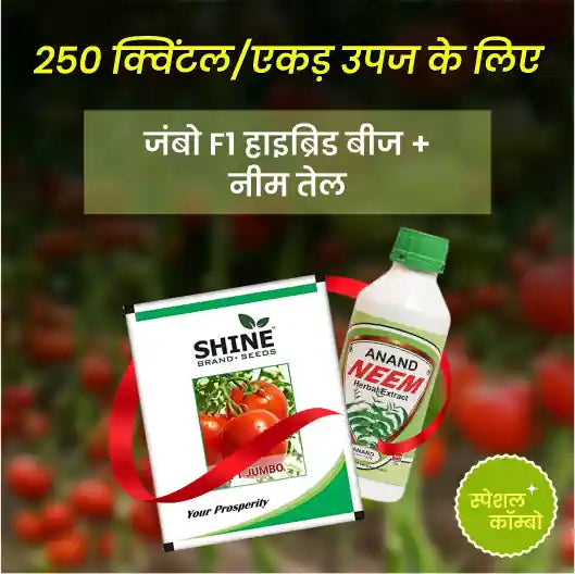 Dr. Anand Neem Oil 3000 PPM + Tomato Jumbo F1 Hybrid - Krushidukan_2
