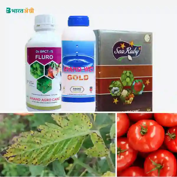 Tomato Suraksha Kit -Bacterial Blight - BharatAgri Krushidukan_1