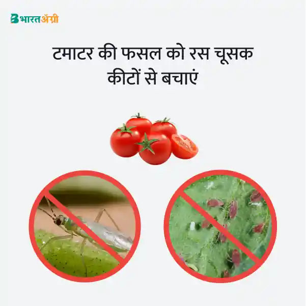 Tomato Suraksha Kit - Sucking Pest (0-150 days) - Krushidukan_3