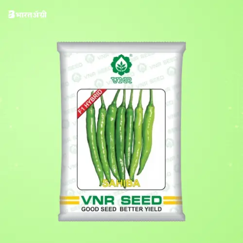 VNR Sahiba F1 Hybrid Chilli Seeds | BharatAgri Krushidukan