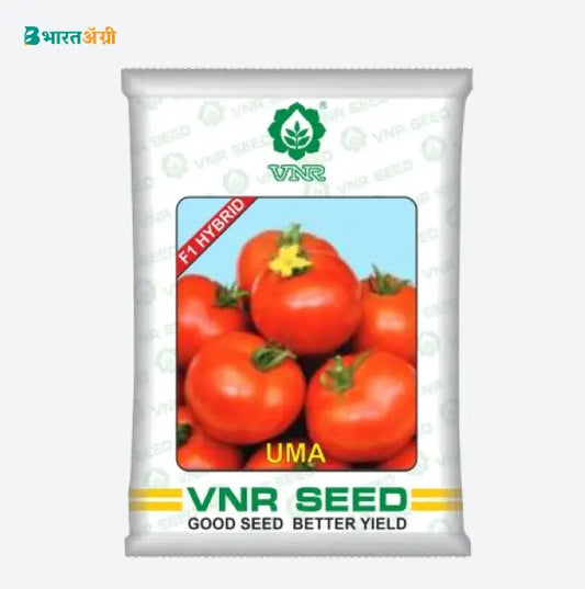 VNR Uma F1 Hybrid Tomato Seeds | BharatAgri