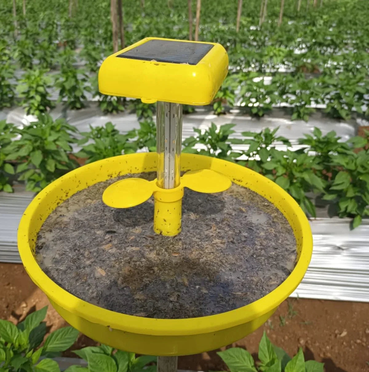 wavar-mini-solar-light-trap | BharatAgri