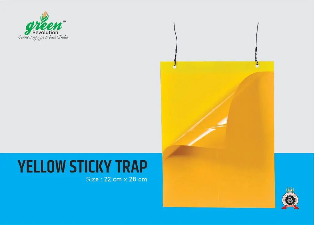 Green Revolution Yellow Sticky Trap (25 nos) - Krushidukan_1