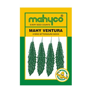 MAHYCO - MAHY VENTURA BITTER GOURD - BharatAgri Krushidukan_3
